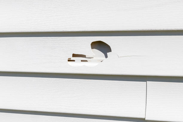 How To Choose The Right Materials for Your Siding Installation in 'Helena West Side, MT